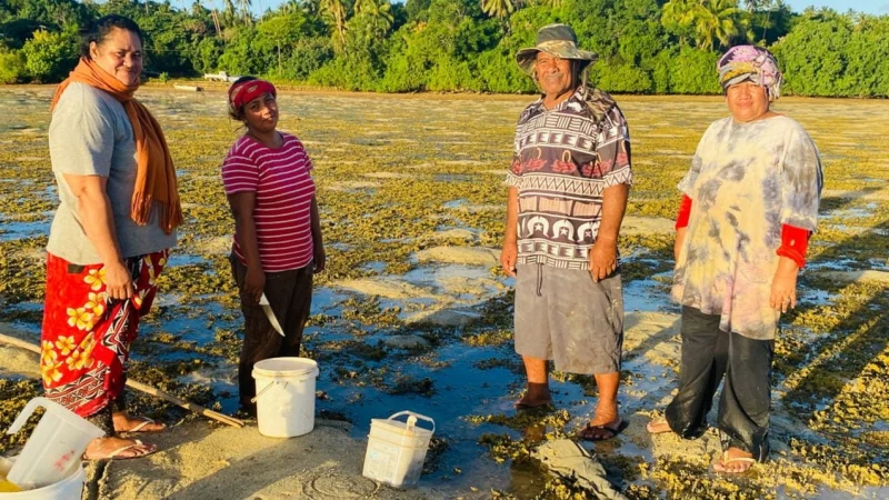 CLIMATE CHANGE RESILIENCE CENTRES