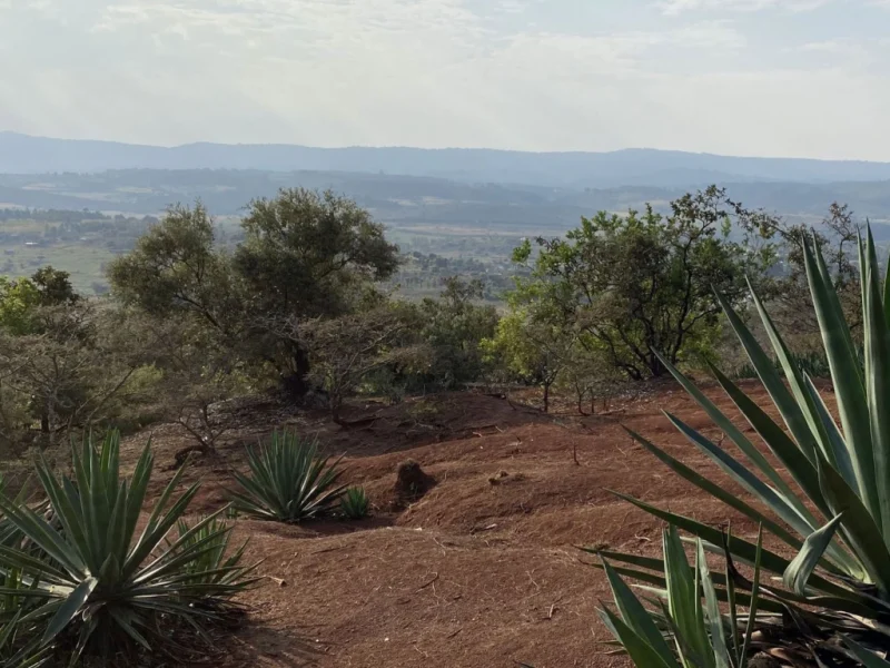 MAASAI GIRLS RESCUE CENTRE